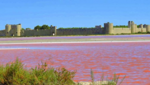 Weekend Camargue Aigues Morte