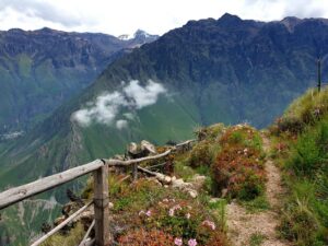 canyon colca